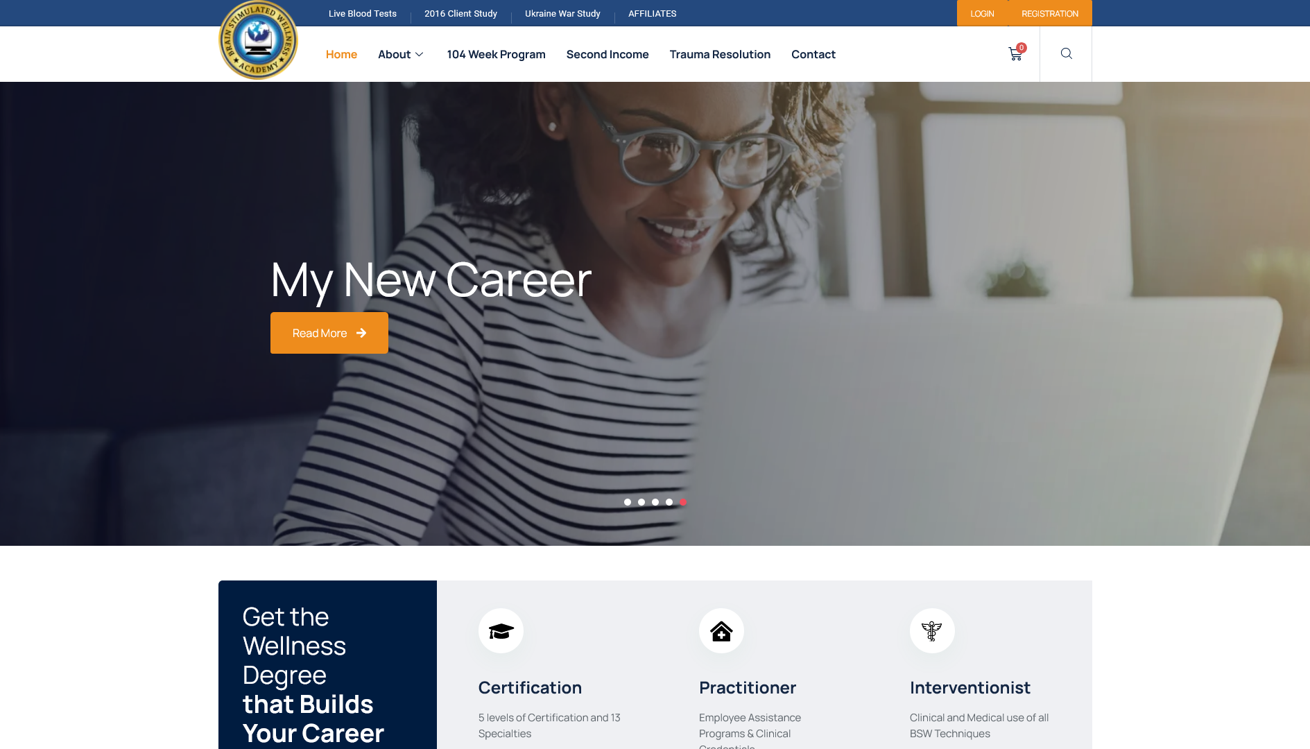 bswacademyusa.com bswacademyusa.com